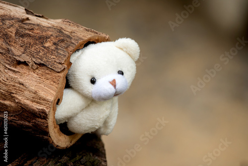 Cute old teddy bear sifting from a wooden chimney on nature background.