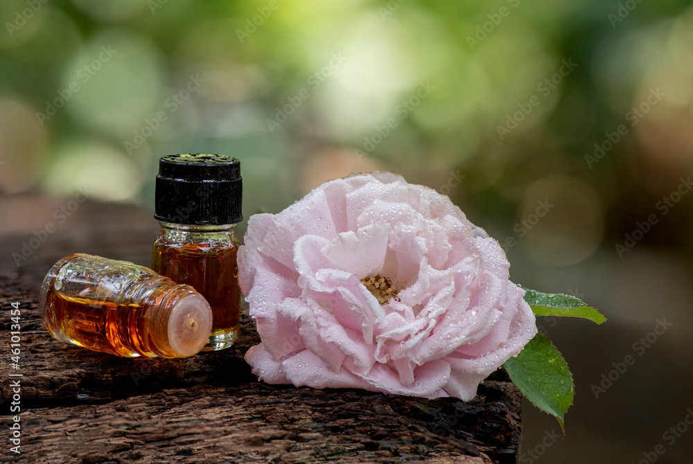 Damask perfume discount