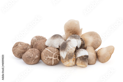 Fresh abalone ,volvariella volvacea and shiitake mushroom isolated on white background with clipping path.