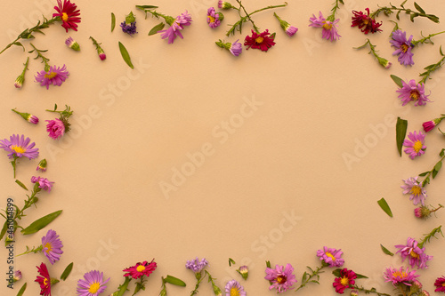 Autumn floral flat lay. Small multicolored asters on a beige pastel background top view. Beautiful design frame. Copy space, creative floral background. Mother's Day concept, mockup postcards