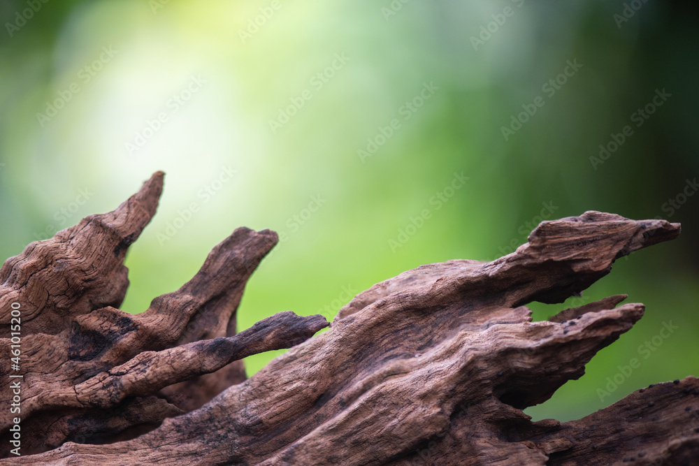 Old plank wood on bokeh nature background. Old plank wood on bokeh nature background.