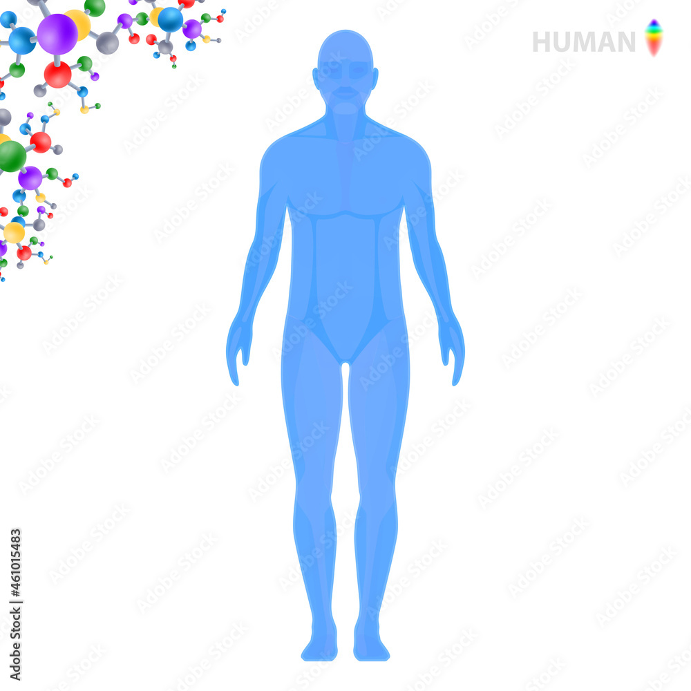 Human research, vector illustration Human research, vector illustration