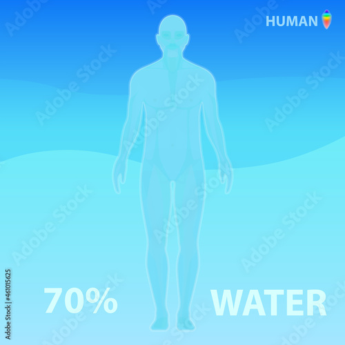 The human body consists of 70% water. Vector infographic illustration