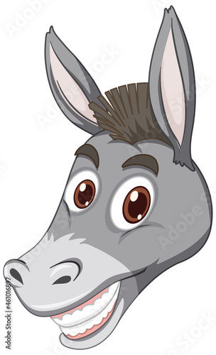 Donkey with face expression on white background
