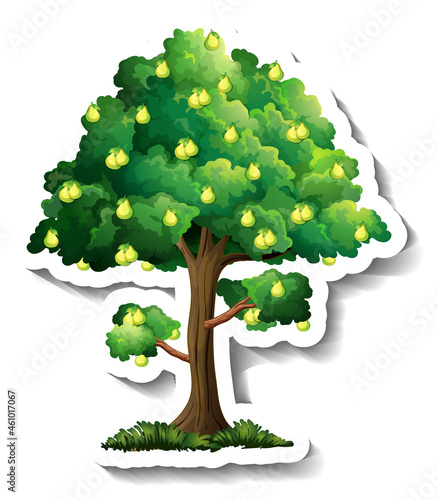 Pear tree sticker on white background