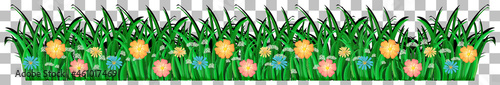 Grass and plants on transparent background for decor