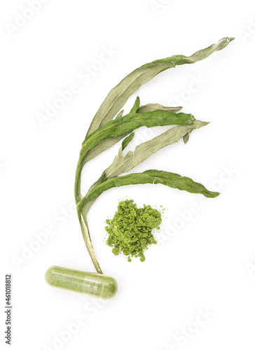 Alternative medicine with mugwort or artemisia annua isolated on white background.top view,flat lay. photo