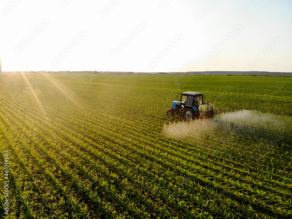Tractor sprays pesticides on corn fields at sunset Tractor sprays pesticides on corn fields at sunset