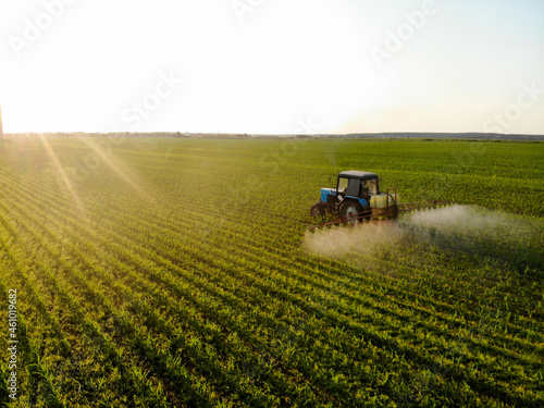 Tractor sprays pesticides on corn fields at sunset