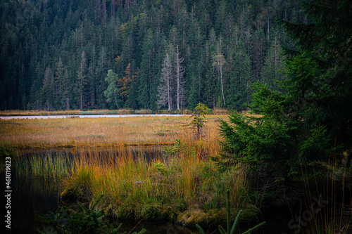 Kleiner Arbersee Bayerischer Wald photo