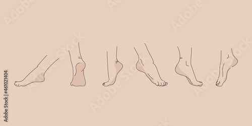 Vector human foot in various poses. Hand drawing with a line. Set of female feet for design.