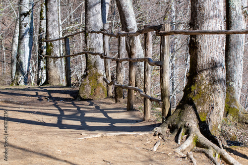 Footpath with handrails in Caucasian mountain forest in Zhane river gorge on sunny winter day. Gelendzhik, Krasnodar Krai, Russia. photo