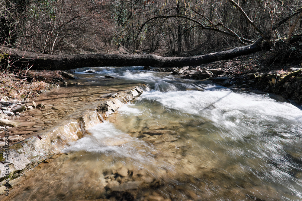 A log lying above mountain forest river on sunny winter day. Gelendzhik, Krasnodar Krai, Caucasus, Russia. A log lying above mountain forest river on sunny winter day. Gelendzhik, Krasnodar Krai, Caucasus, Russia.