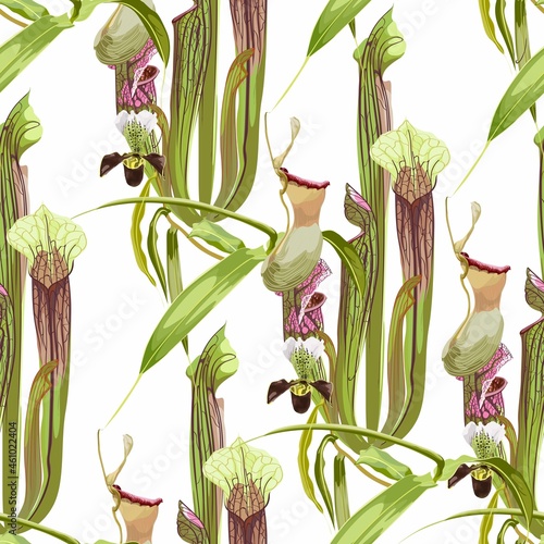 Tropical seamless pattern. Summer print. Jungle rainforest. Sarracenia, genus of carnivorous plants and orchids. Monkey cups exotic plant. Seamless floral pattern with exotic flowers and palm leaves. photo