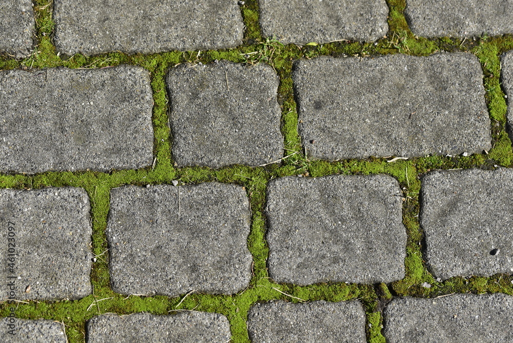 The paving in the city park The paving in the city park