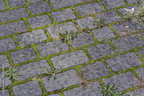 The paving in the city park