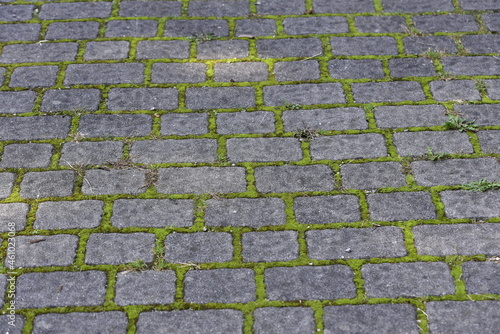 The paving in the city park
