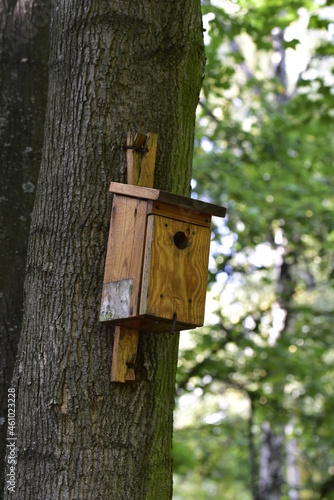 the birdhouse in the city park