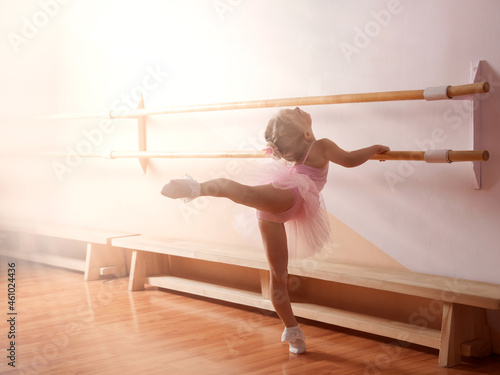 a young ballerina girl in a pink dress is engaged in a ballet studio
