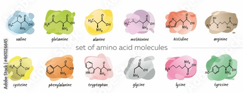 Set of chemical formula of the amino acids is isolated on colorful abstract background. Symbols collection of organic compound. Structure of an interchangeable amino acid. Cartoon vector illustration.