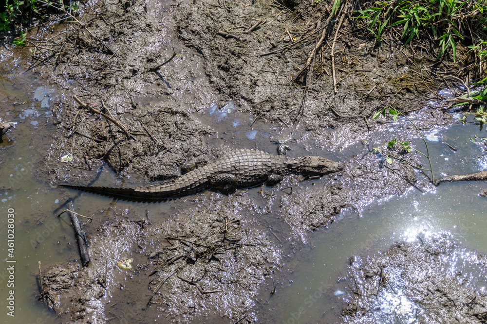 Iguazu Falls, located on the border of Argentina and Brazil, is the largest waterfall in the world.