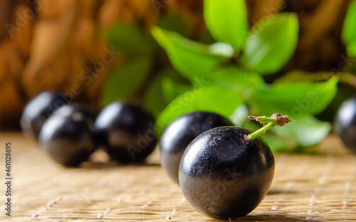 Jabuticaba, Jabuticabas freshly harvested and not yet washed in details on a straw mat, selective focus. photo