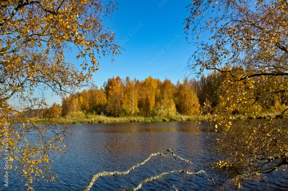 Obraz premium Autumn landscape at lake