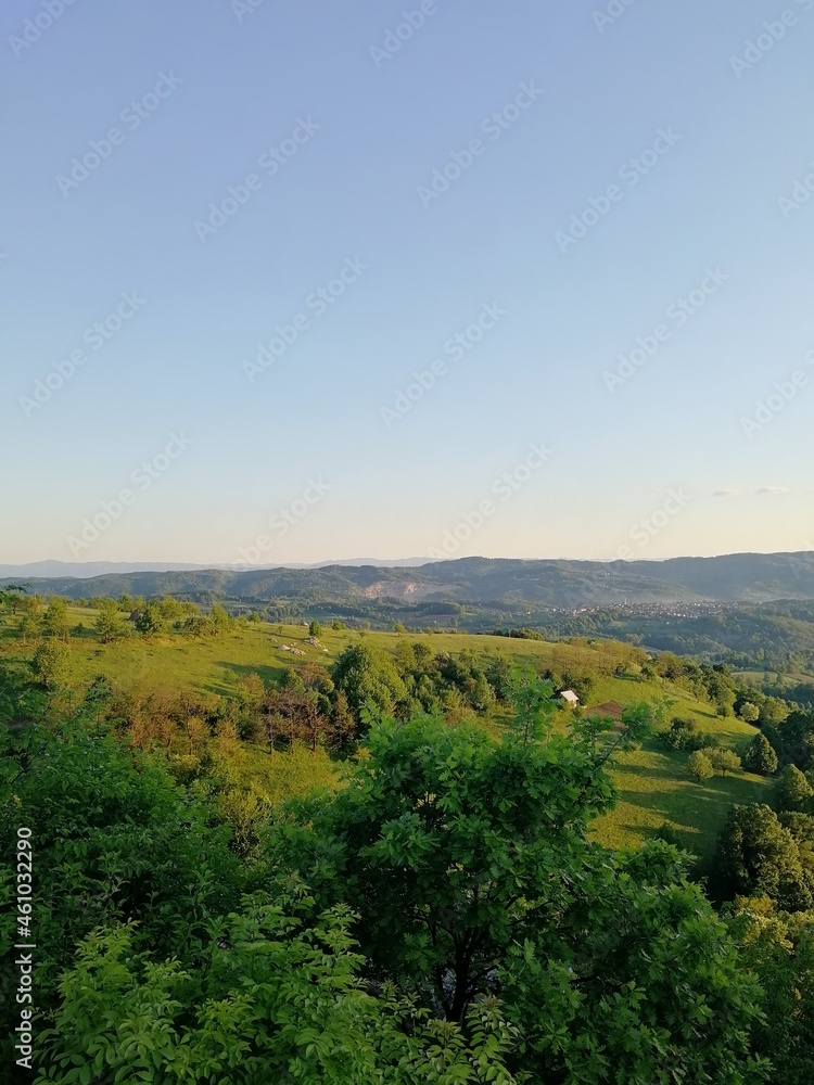 Fototapeta premium landscape with trees