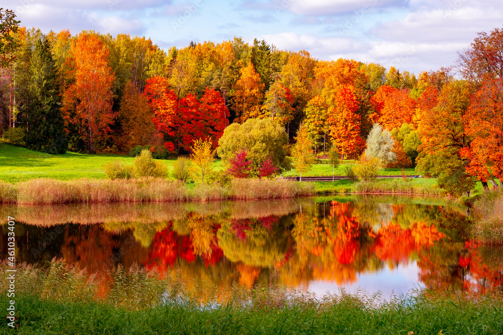 Fototapeta premium Autumn foliage in Pavlovsky park, Pavlovsk, Saint Petersburg, Russia