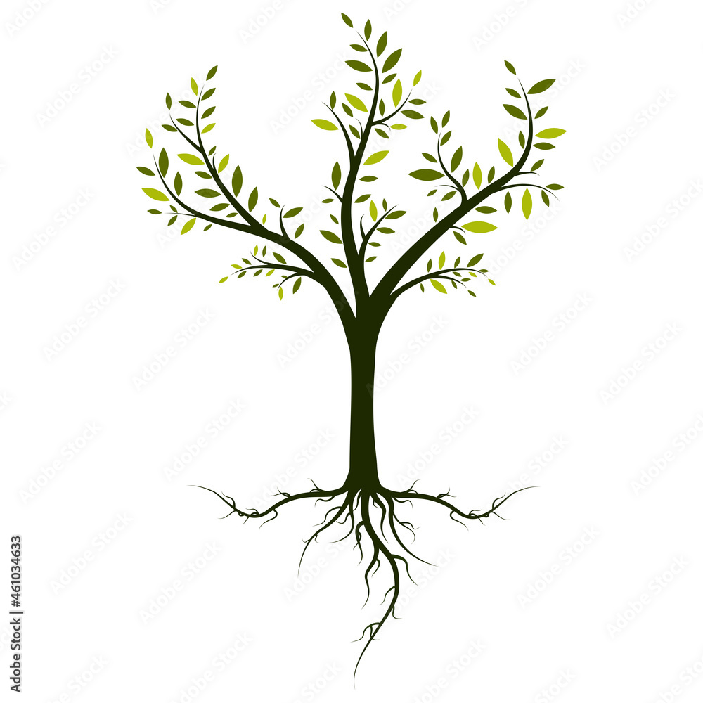 Tree vector isolated on gray background. Green tree for web site, poster, placard and wallpaper. Vector illustration Tree vector isolated on gray background. Green tree for web site, poster, placard and wallpaper. Vector illustration