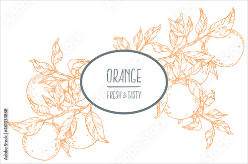 Hand drawn vector fresh orange summer fruit