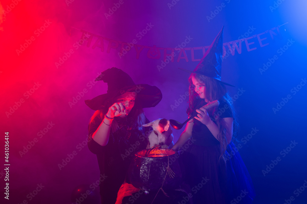 Two halloween witches making magic with dog jack russell terrier in halloween night. Magic, holidays and mystic concept.