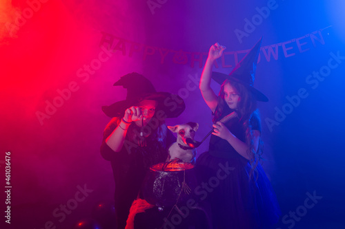 Funny child girl and woman in witches costumes for Halloween with dog.