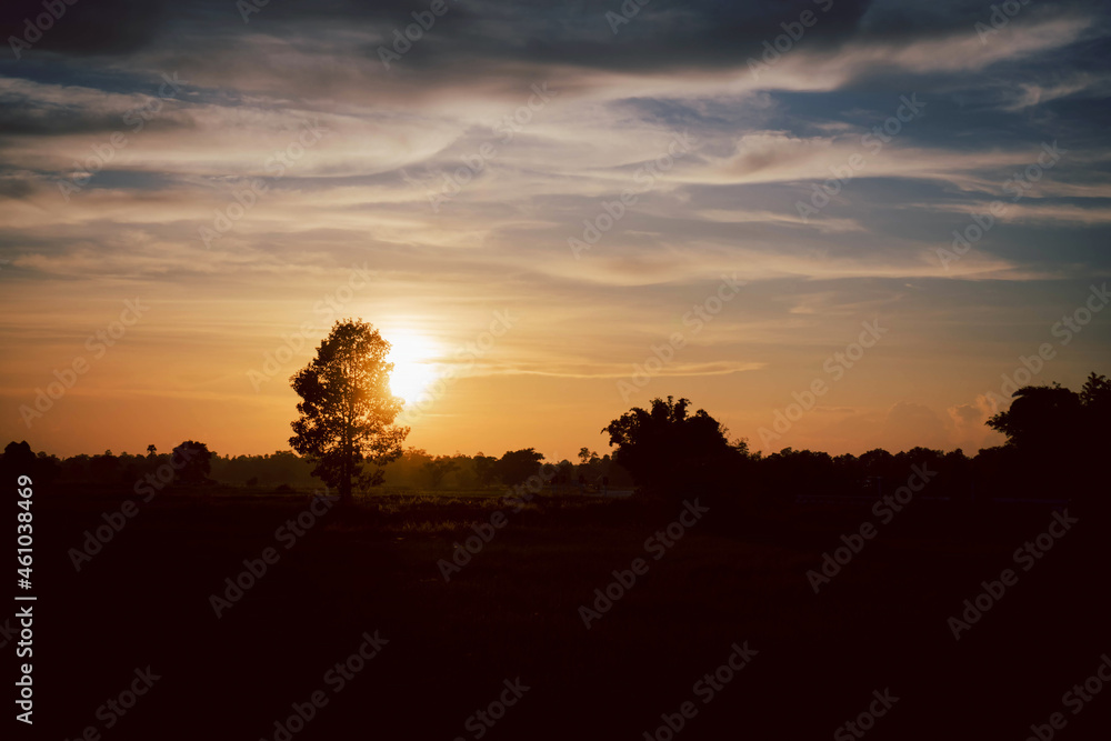 Sunset with tree nature background.