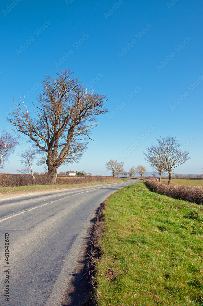 Springtime landscape in the UK countryside. Springtime landscape in the UK countryside.