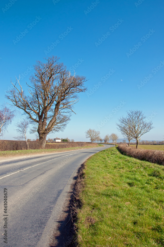 Springtime landscape in the UK countryside.