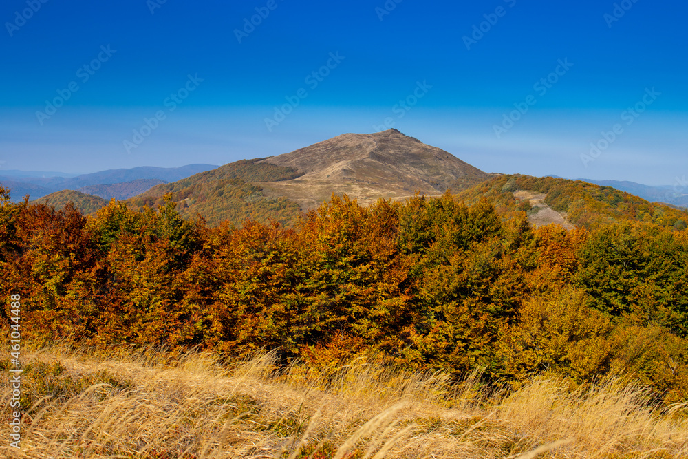 Bieszczady złota jesień w górach