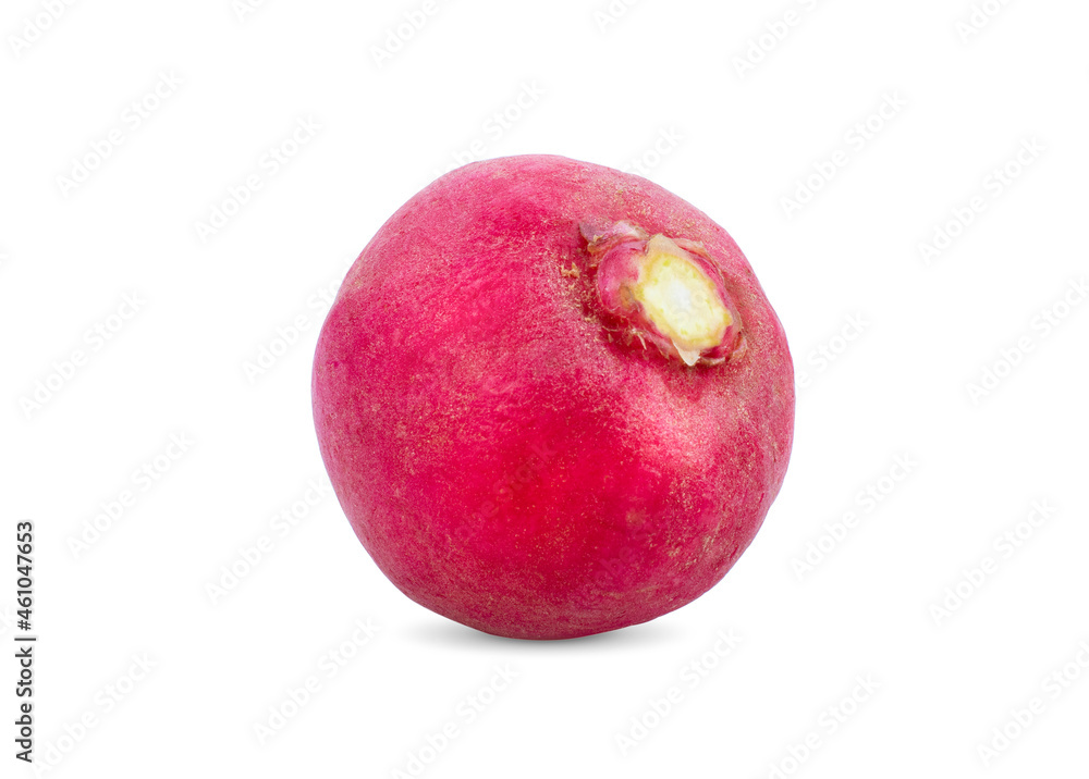 Small garden radish isolated on white background Small garden radish isolated on white background
