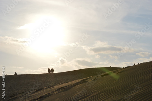 鳥取砂丘 太陽