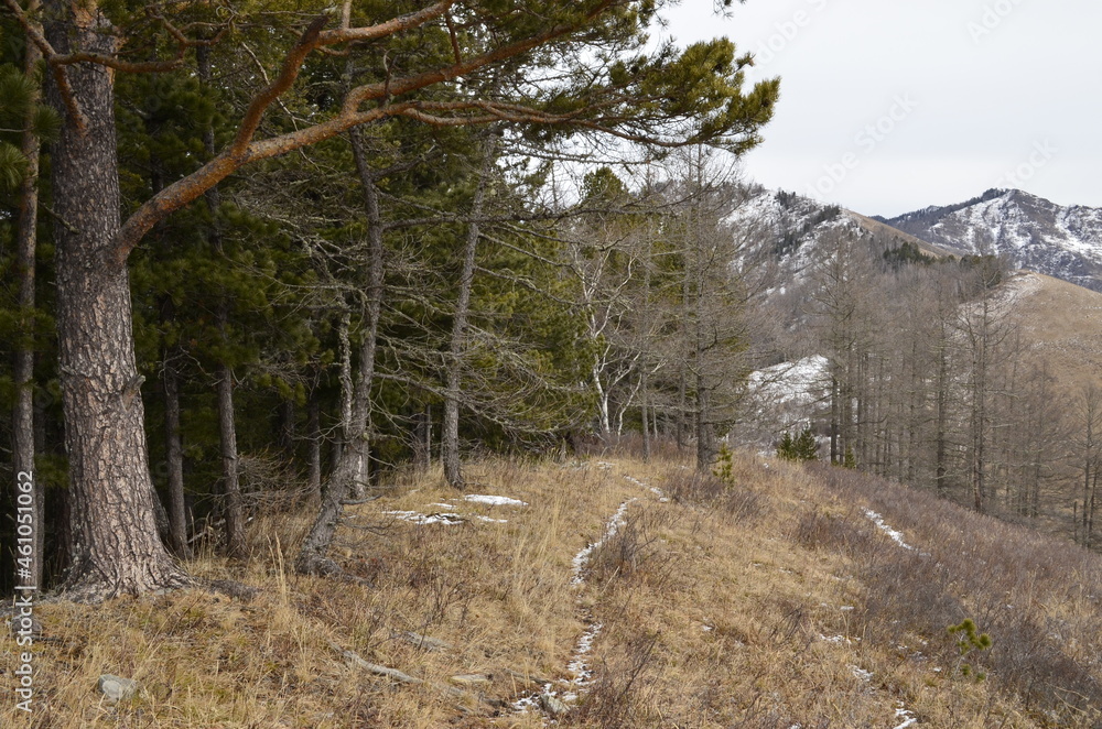 Mountain trail in the mountains in autumn Mountain trail in the mountains in autumn