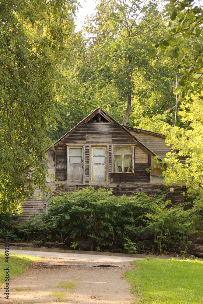 Exterior of an old abandoned wooden house in the background of green deciduous trees and bushes in the summer in resort town Birstonas, Lithuania  