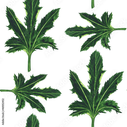 Watercolor green leaf of zucchini in seamless pattern on white background. Aquarelle hand drawing illustration. Perfect for textile.