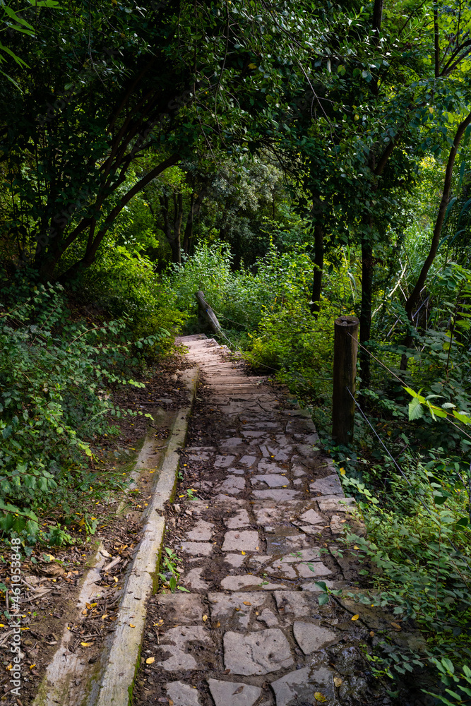 stone path in the middle of the forest with wooden railing, Catalonia, Spain stone path in the middle of the forest with wooden railing, Catalonia, Spain