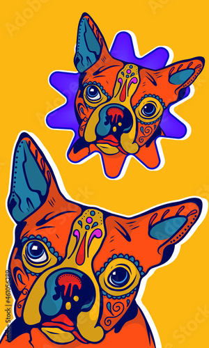 Calavera Boston Yellow/Orange