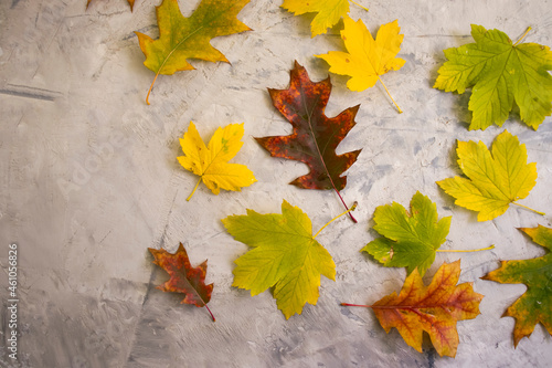 autumn leaves on concrete background frame 