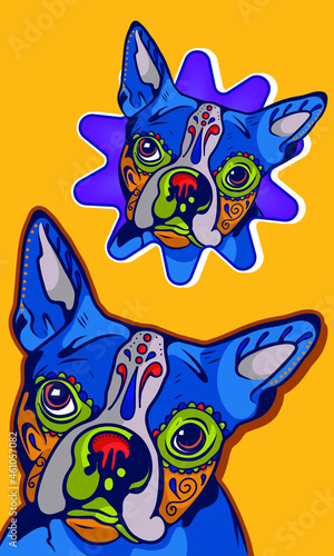 Calavera Boston Blue Orange