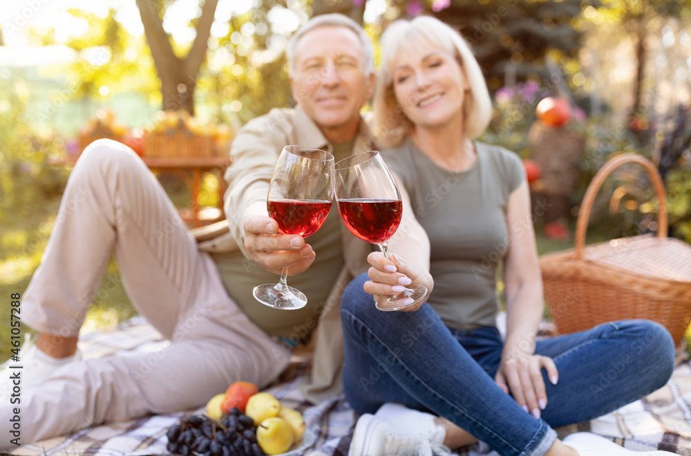 Cheers. Senior spouses clinking glasses with red wine, having picnic and sitting on blanket in garden, selective focus - obrazy, fototapety, plakaty 