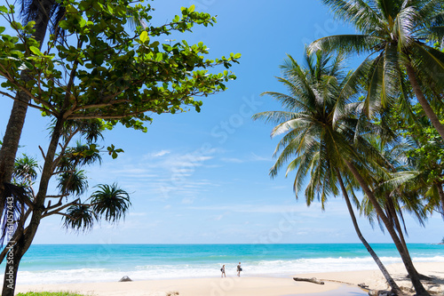 Fototapeta Naklejka Na Ścianę i Meble -  Coconut trees on beach on island blue sky and clouds background..