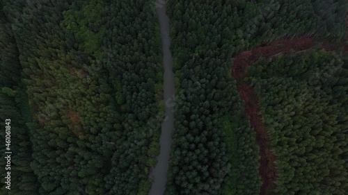 Wallpaper Mural Small stream nestled in the deep forest of British Columbia Torontodigital.ca