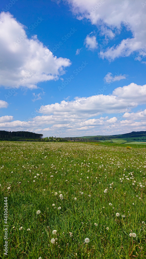 field and blue sky